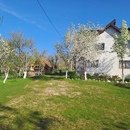 Hotel Casa Cristalul Muntilor Poiana Mărului Exterior foto