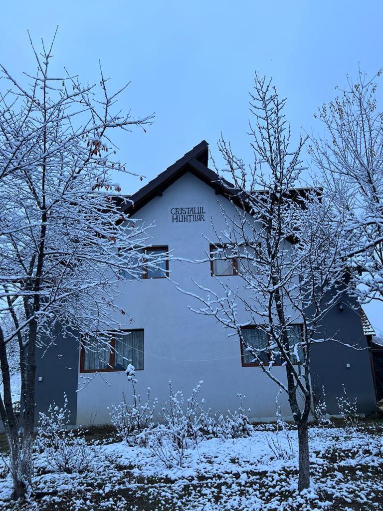 Hotel Casa Cristalul Muntilor Poiana Mărului Exterior foto